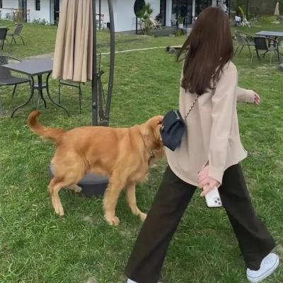 狂鳄